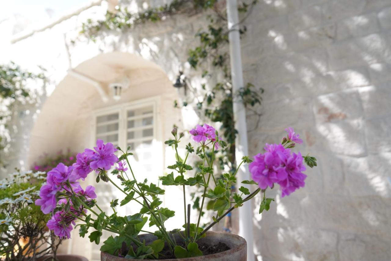 Trulli Di Puglia - Casa Vacanze In Valle D'Itria Martina Franca Exteriör bild