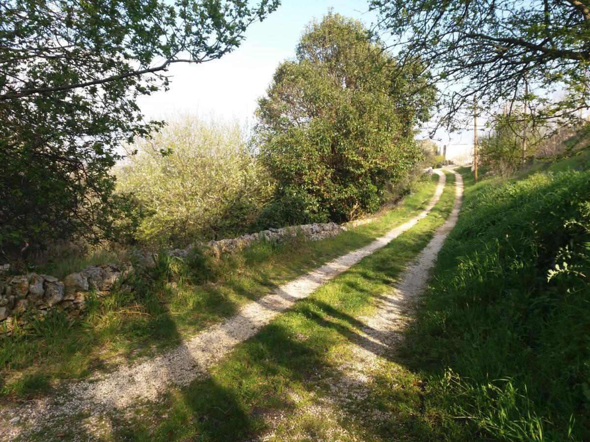 Trulli Di Puglia - Casa Vacanze In Valle D'Itria Martina Franca Exteriör bild
