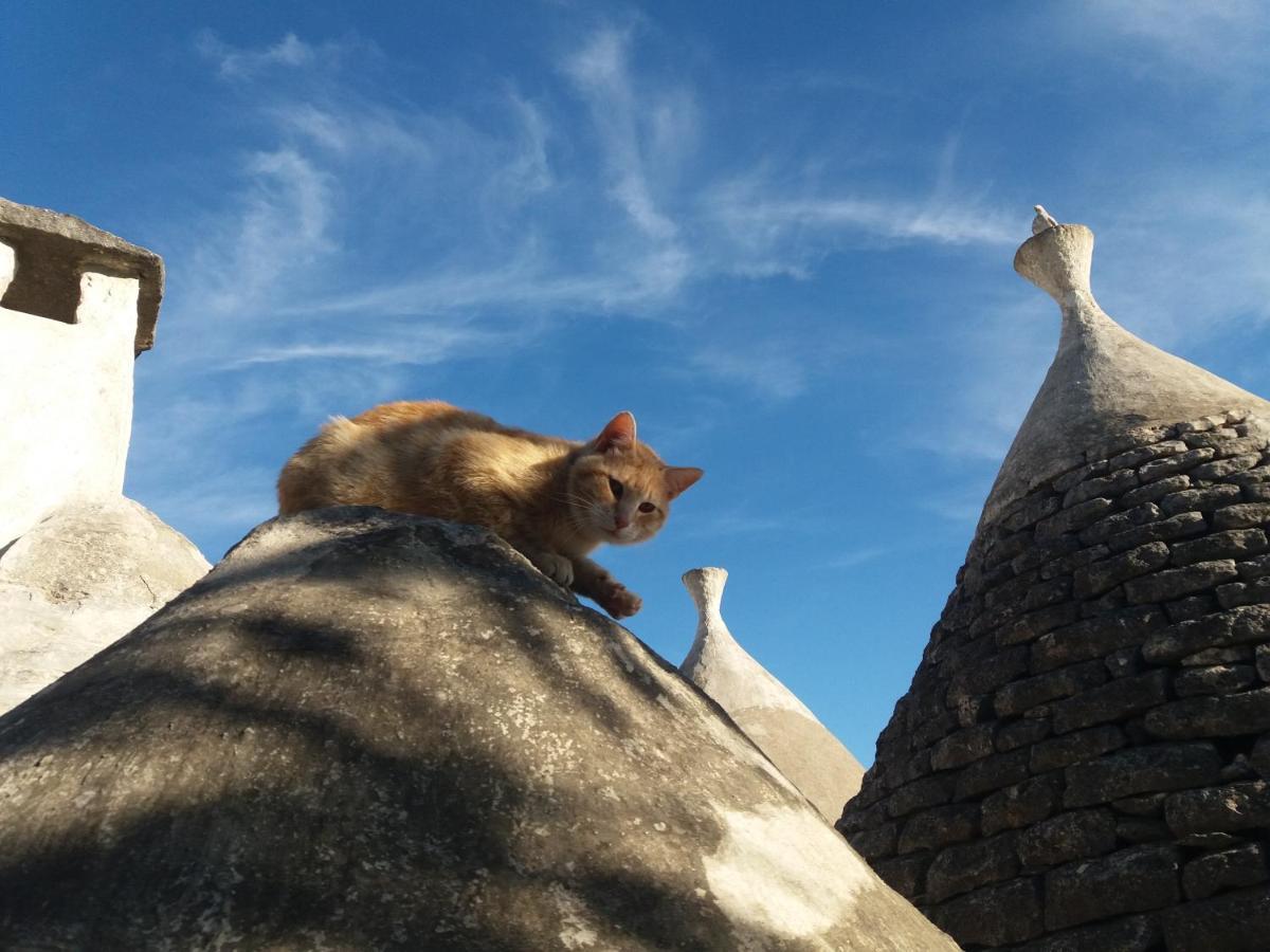 Trulli Di Puglia - Casa Vacanze In Valle D'Itria Martina Franca Exteriör bild